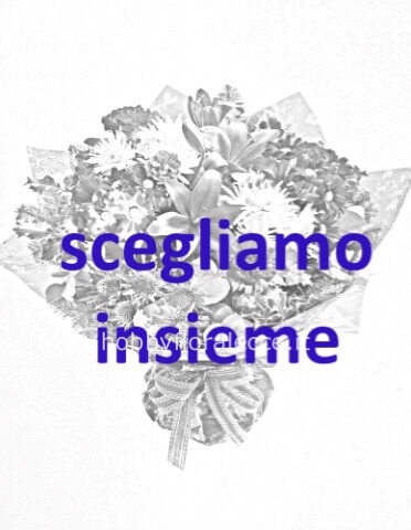 Omaggio da concordare al nostro numero di telefono. 0832 316423